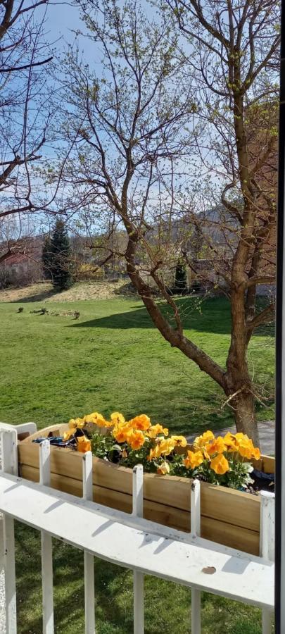 Na Lesnej Apartamento Kowary Exterior foto