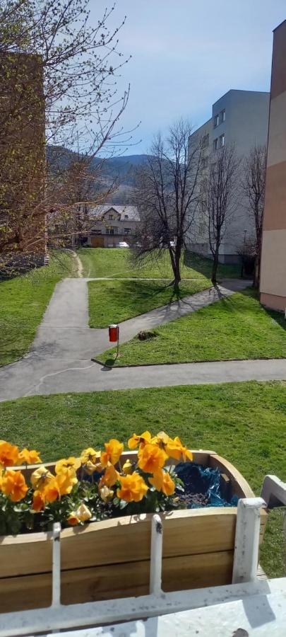 Na Lesnej Apartamento Kowary Exterior foto