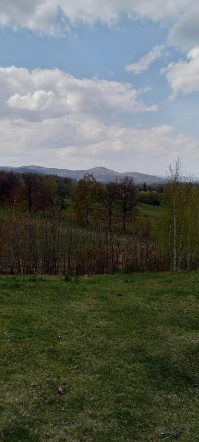 Na Lesnej Apartamento Kowary Exterior foto